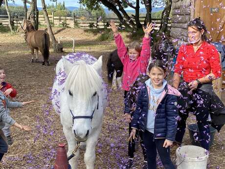 Stages et ateliers à gogo au centre d’équihomologie de Mazan