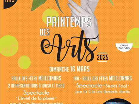 Printemps des arts_ Street Fool