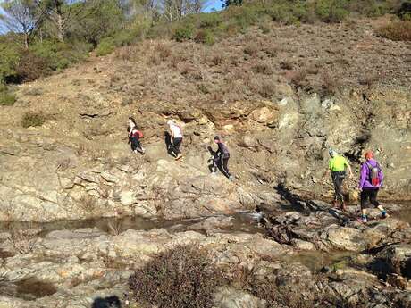 Trail - Trail Hermès Estérel (20km)