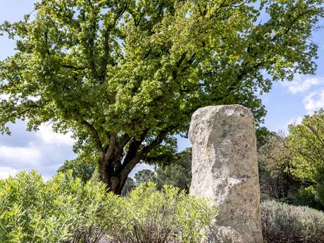 Les menhirs de Grimaud