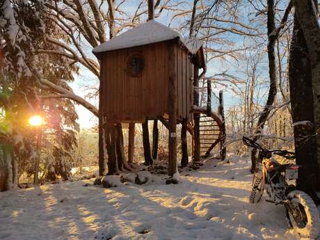 Cabane perchée dans les arbres "la Lazine"