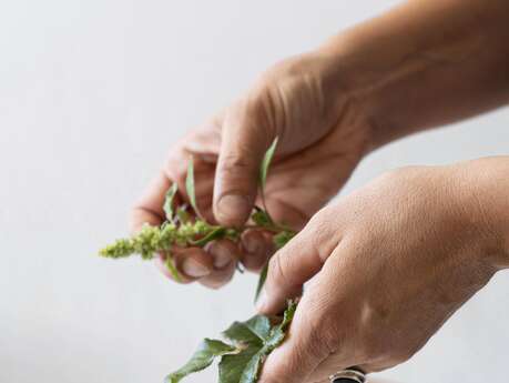 Randonnée Plantes Comestibles - Carole Gauthier