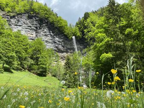 La Cascade du Dard