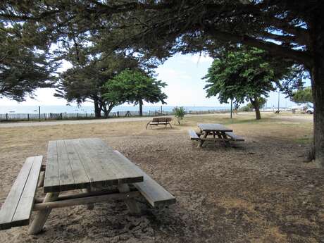 Picknickplatz Südstrand