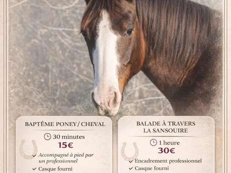 Balade poney & cheval à Salin de Giraud