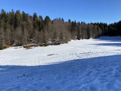 Randonnée raquettes : la petite traversée