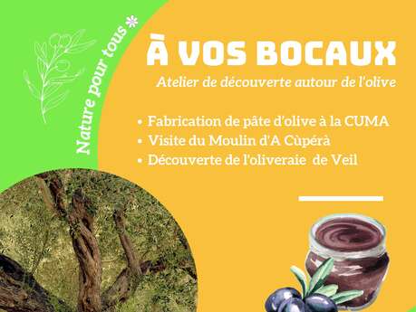 Nature discovery workshop: Get your jars ready!