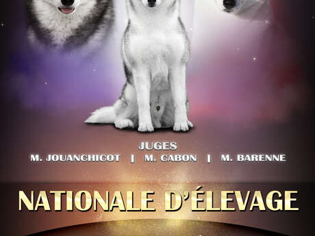 Nationale d'élevage du Husky Sibérien