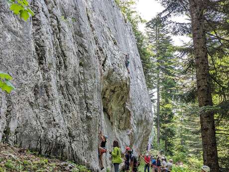 Site d'escalade "Les Garins"
