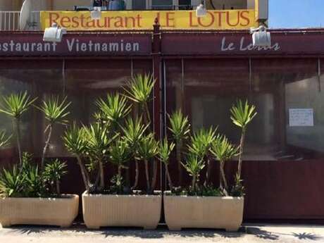 Le Lotus