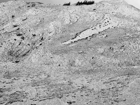 Exposition de photographie Francis Helgorsky