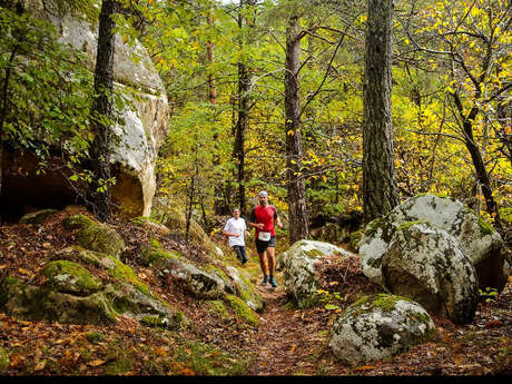 Trail des châtaignes