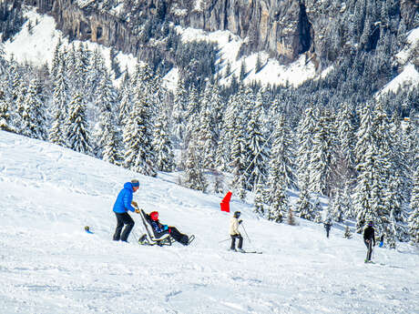 Tandem-ski Handiski