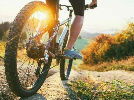 2e Randuro VTT