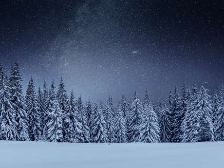 Sneeuwschoenwandelingen - Avond in een berghut