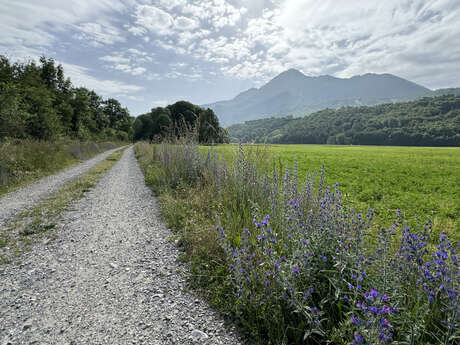 Plaine et canal