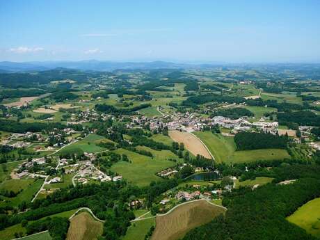 BONNIEUX -LACOSTE - Forêt des Cèdres du Petit Luberon