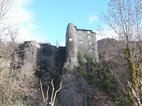 Fêtes de Tarascon