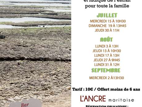 LES TRÉSORS DU BORD DE MER