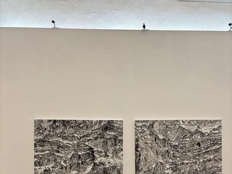 Présentation "Edition d'artistes"