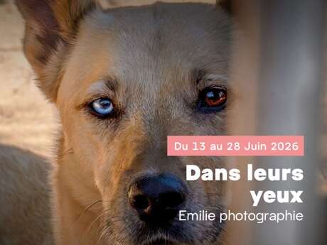 Exposition : Dans leurs yeux, Emilie Godot