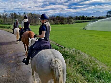 Stage randonnée - Ferme équestre du Grand Bois