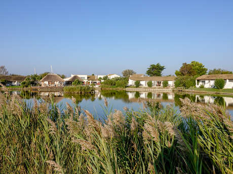 L'Estelle en Camargue