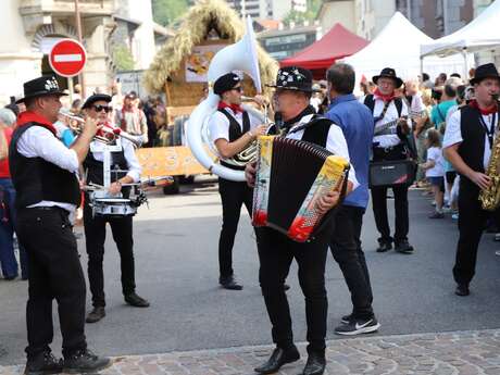 Show musical "Cocktail des Montagnes"