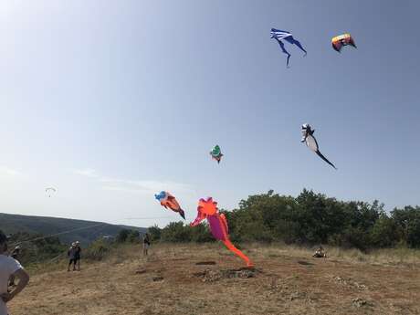 Initiation cerf-volant