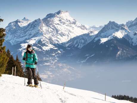 18b. Foilleuse - Savolaire - Morgins