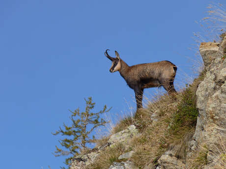 Découverte de la faune et de la flore du Parc national