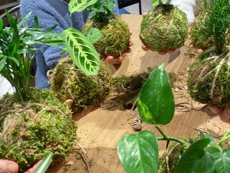 Créer mon Kokédama -Atelier végétal