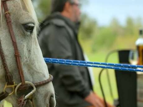 Balade à cheval et dégustation de vin dans l'Estérel
