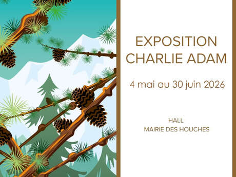 Exposition - Charlie Adam