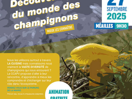 Découverte du monde des champignons