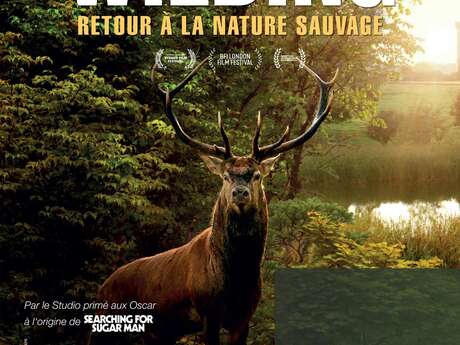 Ciné-débat autour du film Wilding - retour à la nature sauvage