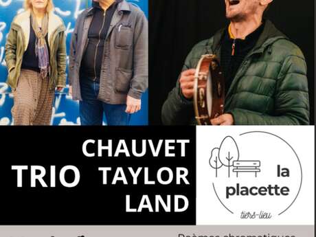 Concert du Trio Chauvet Taylor Land