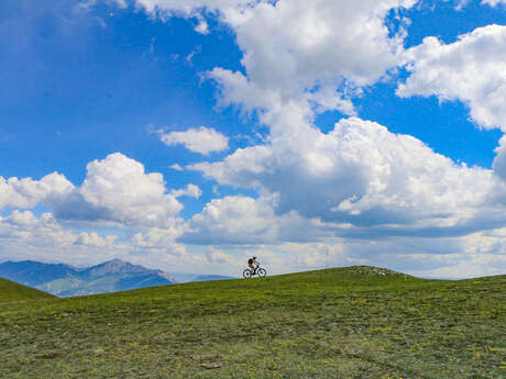 N°8 (Noir) - La Longeagne et  Marjaries