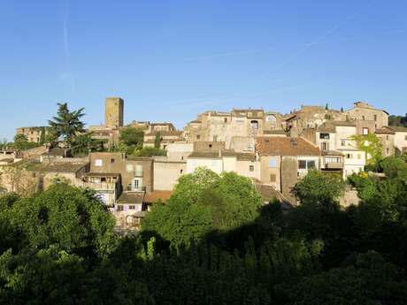 Bastide Sainte Cécile- Pôle E-culturel-Exposition Nature en Ville