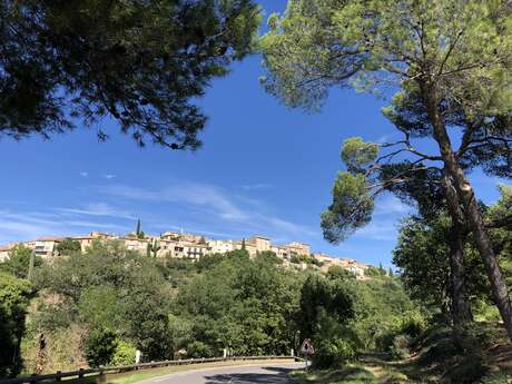 VTT n°26 - Entre Grambois et Beaumont-de-Pertuis