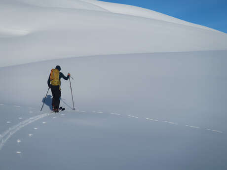 Splitboard