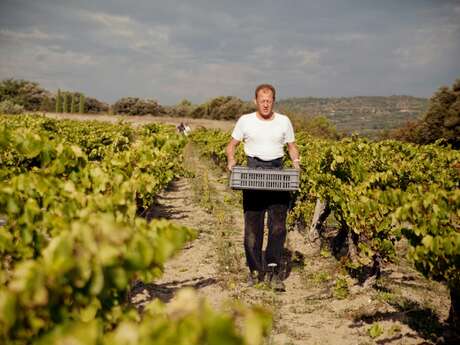 Domaine Les Patys Domaine Les Patys
