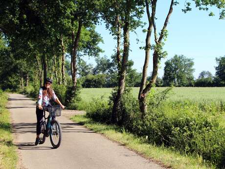 Boucle cyclable F8 : entre plaine et monts à vélo : Montrond-les-Bains / Saint-Cyr-les-Vignes