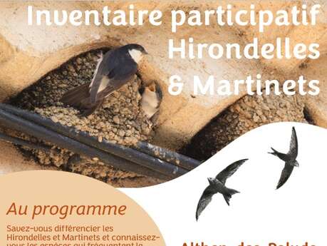Inventaire participatif Hirondelles et Martinets