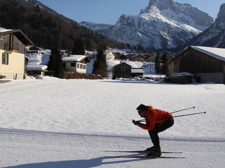 Cours de ski de fond