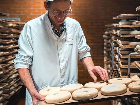 Visit the Paccard cheese-aging cave