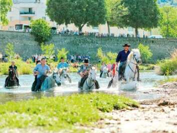 Feria - Course Gardonnenque