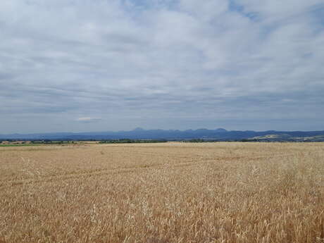 Art roman et terres noires