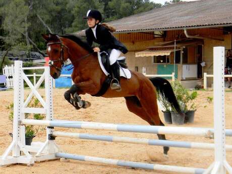 Stage équitation à la journée: TLP Equitation