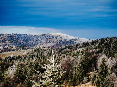 Montagne de Lure